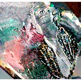 Glitch Art Numérique • Data Bending Screen Shot • 2019